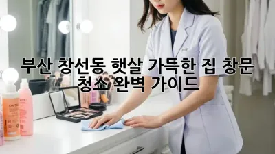 부산 창선동 햇살 가득한 집, 창문 청소 완벽 가이드!