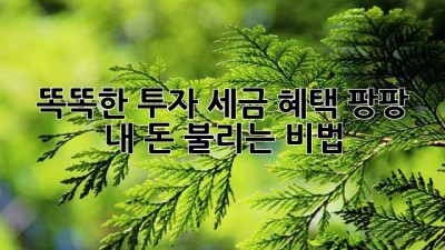 똑똑한 투자, 세금 혜택 팡팡! 내 돈 불리는 비법