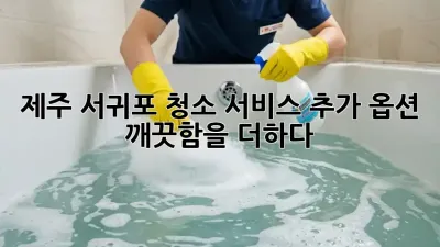 제주 서귀포 청소 서비스 추가 옵션: 깨끗함을 더하다!