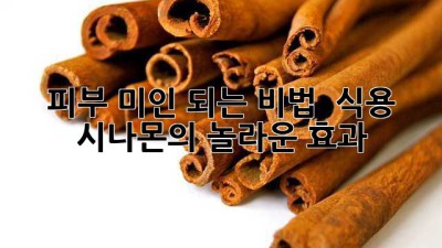 피부 미인 되는 비법? ✨ 식용 시나몬의 놀라운 효과! 🤫
