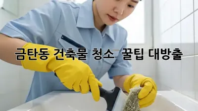 금탄동 건축물 청소, ✨ 꿀팁 대방출! 🏢🧹